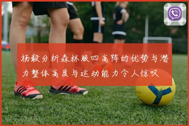 杨毅分析森林狼四高阵的优势与潜力整体高度与运动能力令人惊叹