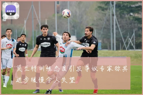 莫兰特训练态度引发争议专家称其进步缓慢令人失望