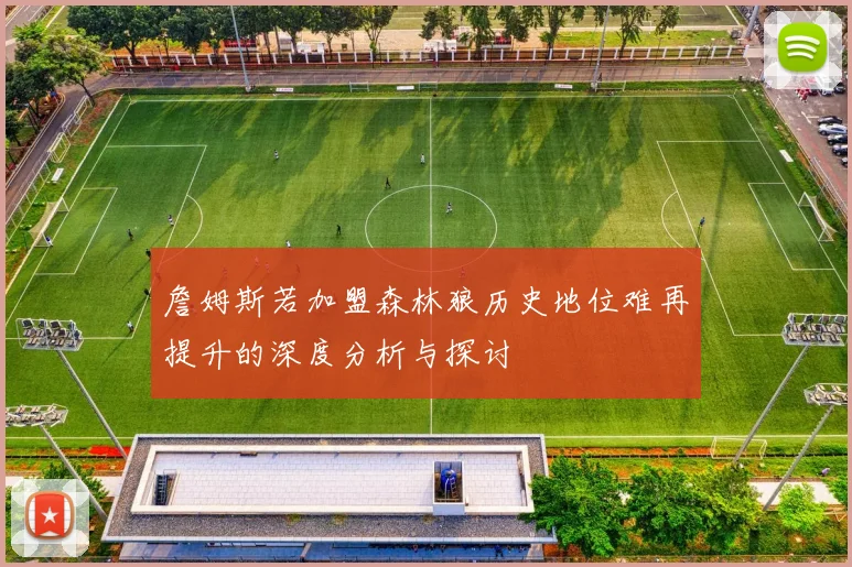 詹姆斯若加盟森林狼历史地位难再提升的深度分析与探讨